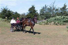 LR-WRF 10182025 Retreat-6518